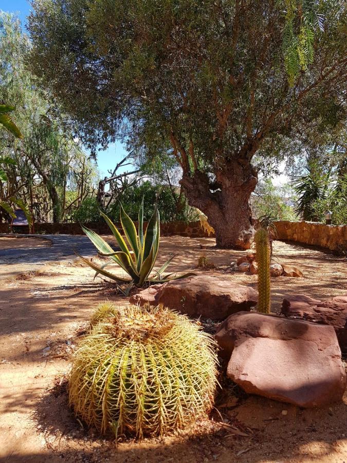 Gato Preto De Silves - Adults Only Bed & Breakfast Bagian luar foto
